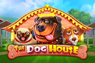 The Dog House онлайн ЧемпионСлот Казино